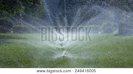 Automatic Sprinkler System Watering The Lawn On A Background Of Green Grass, Close-up