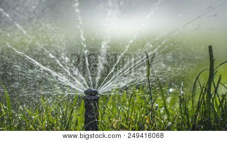 Automatic Sprinkler System Watering The Lawn On A Background Of Green Grass, Close-up