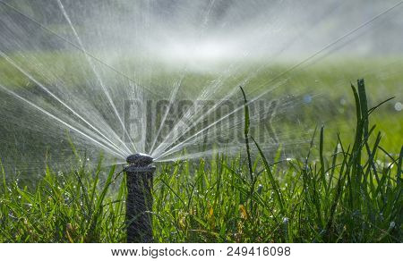 Automatic Sprinkler System Watering The Lawn On A Background Of Green Grass, Close-up
