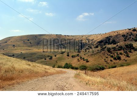Golan Heights At Summer Day In Israel