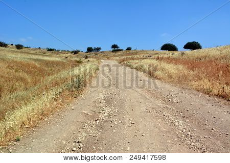 Golan Heights at summer day in Israel