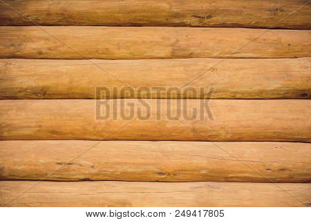 Cross Section Of Log Shows Sapwood, Heartwood, Bark In Round Shape