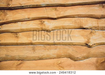 Cross Section Of Log Shows Sapwood, Heartwood, Bark In Round Shape