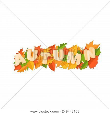 Word Autumn Composition With Green Yellow Red Leaves On White Background In Paper Cut Style. Fall Le