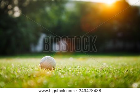Green Grass With Golf Ball Close-up In Soft Focus At Sunlight. Sport Playground For Golf Club Concep