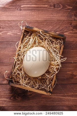 Ostrich Egg On Straw In Wooden Box, Copyspace, Dark Background.