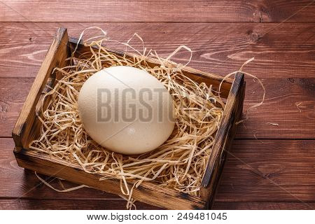 Ostrich Egg On Straw In Wooden Box, Copyspace, Dark Background.