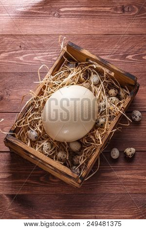 Big Ostrich Egg On Straw Surround By Quail Eggs, Copyspace.