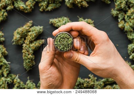 Grinder A Lot Ofx Marijuana, Fresh Buds Of Cannabis Many Weed. Copy Spase Copy-space