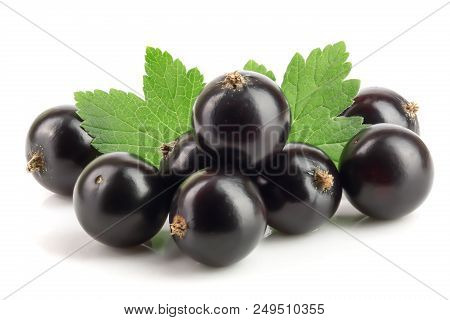 Black Currant With Lef Isolated On White Background.