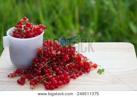 Still-life Photo With Fresh Currant Berries On Wooden Plank