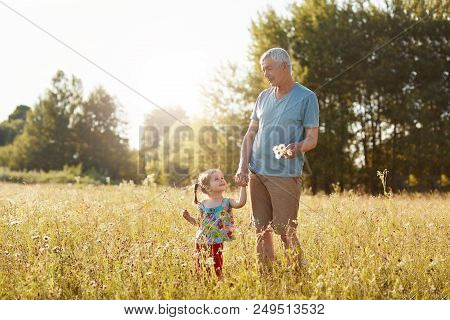 Outoor View Of Handsome Mature Grandfather Keeps Hand Of His Small Granddaughter, Looks At Each Othe