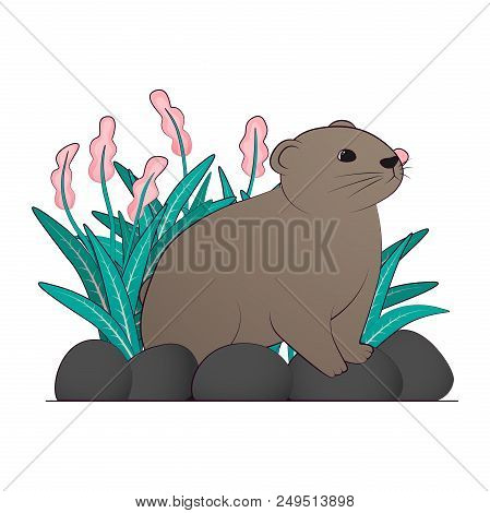 Illustration Of A Brown Lemming Vector Illustration