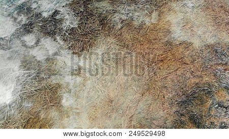 Zostera Marina In The Sea, Reflection Of Clouds In Water, Top View. It Is Seaweed Rich In Iodine And