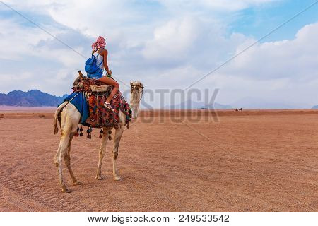 Tourist Woman In Traditional Arabian Clothes With Camel In The Sinai Desert, Sharm El Sheikh, Sinai 