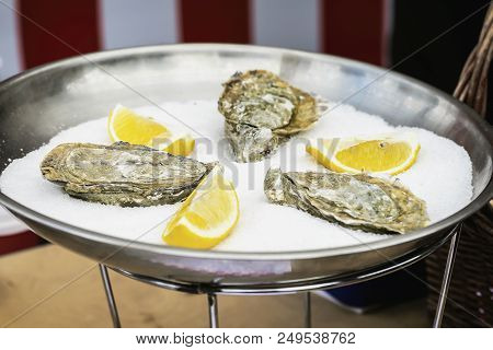 Fresh Oysters And Lemon On Ice In Metal Plate Close-up. Gastronomic Gourmet Dainty Products On Marke