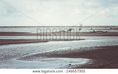 Landscape View Of Tidal Flats At Kuku Beach Estuary, South Manawatu, Manawatu, New Zealand