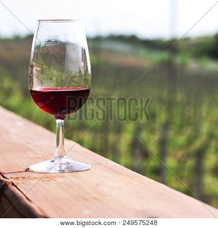 Glasses With Wine. Red, Pink, White Wine In Glasses.