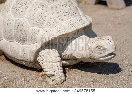 Sculpture Of A White Stone Turtle