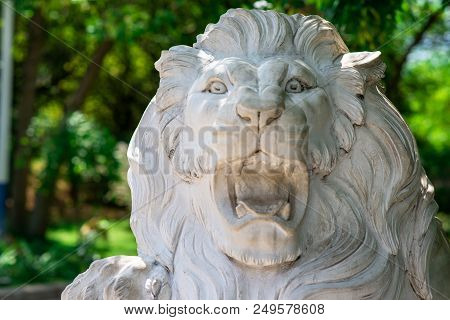 Stone Sculpture Of Lion's Muzzle
