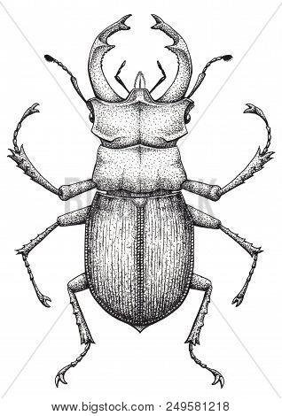 Stag Beetle Tattoo Art. Lucanus Cervus. Family Lucanidae.dot Work Tattoo. Insect. Symbol Of Authorit
