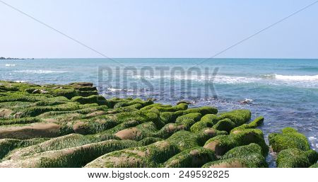 Taipei city Laomei Green Reef 