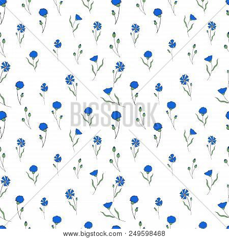 Seamless Pattern With Blue Cornflowers On White