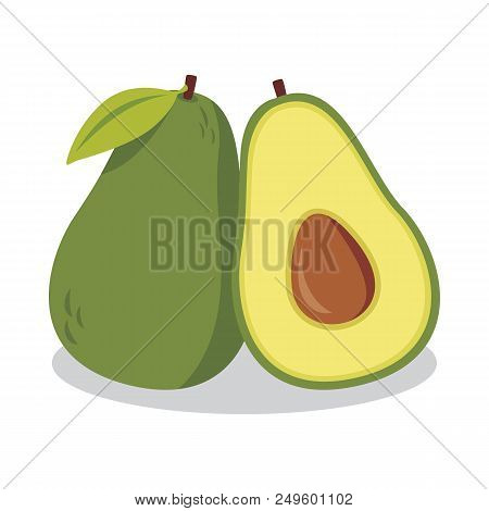 Fresh Whole Avocado And Slices Of Avocado Illustration Vector