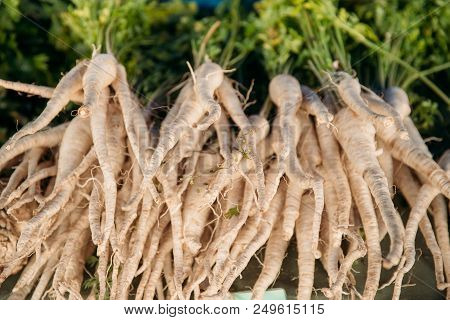 Organic Pastinaca Or Parsnips. Flowering Plant On Local Agricultural Vegetable Market. Autumn Harves