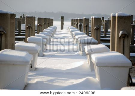 Marina Schnee