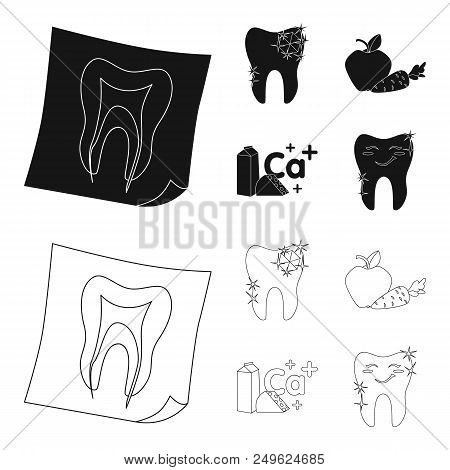 A Tooth With Brilliant Sparkling, An Apple With Carrots Useful For Teeth, Milk In A Box, Cheese And 