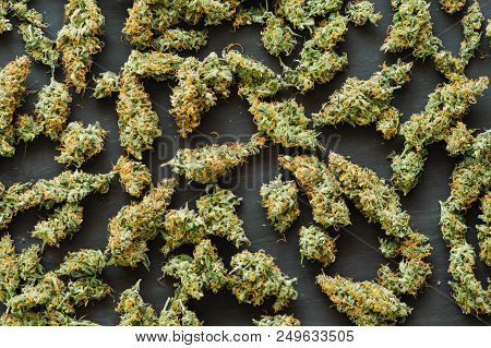 Grinder A Lot Ofx Marijuana, Fresh Buds Of Cannabis Many Weed. Copy Spase Copy-space