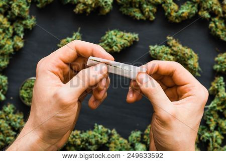 Grinder A Lot Ofx Marijuana, Fresh Buds Of Cannabis Many Weed. Copy Spase Copy-space