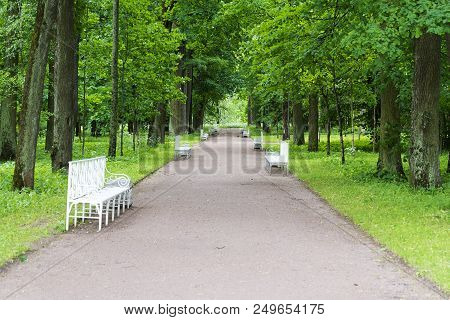 Summer Park With White Benches And Footpaths.