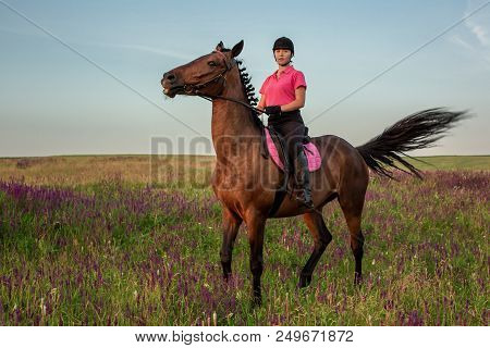 Horsewoman Jockey In Uniform Riding Horse Outdoors. Sunset. Horseback Riding. Competition. Hobby