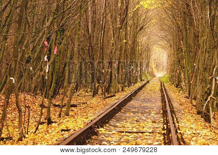 Dirty Road In Autumn Beech Forest, Fall In Foliar Forest.