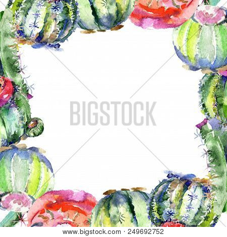 Wildflower Green Cactus. Floral Botanical Flower. Frame Border Ornament Square. Aquarelle Wildflower