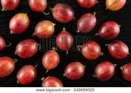Lot Of Whole Fresh Red Gooseberry Hinnomaki Variety Flatlay On Black Wood