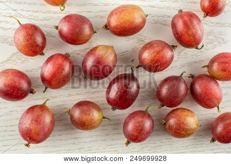 Lot Of Whole Fresh Red Gooseberry Hinnomaki Variety Flatlay On Grey Wood