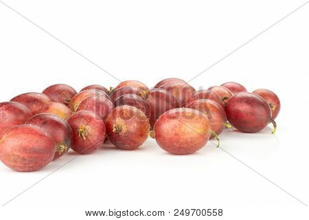 Lot Of Whole Fresh Red Gooseberry Hinnomaki Variety Isolated On White