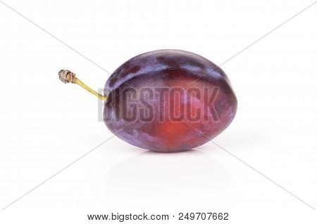 One Whole Fresh Violet-blue Plum Vibrant Moyer Variety Isolated On White
