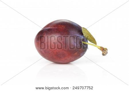 One Whole Fresh Violet-blue Plum Vibrant Moyer Variety With A Small Leaf Isolated On White