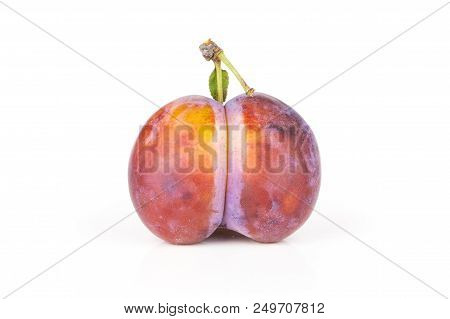One Whole Fresh Violet-blue Plum Vibrant Moyer Variety Isolated On White