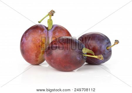 Group Of Three Whole Fresh Violet-blue Plum Vibrant Moyer Variety Isolated On White