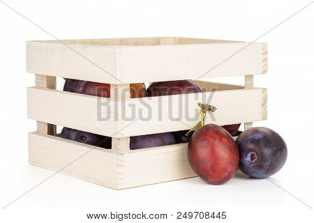 Lot Of Whole Fresh Violet-blue Plum Vibrant Moyer Variety In A Wooden Box Isolated On White