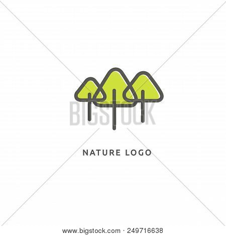 Vector Illustration, Graphic Design Editable Design. Tree, Fir-tree, Wood Oakweb Icon