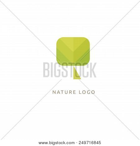 Vector Illustration, Graphic Design Editable Design. Tree, Fir-tree, Wood Oakweb Icon