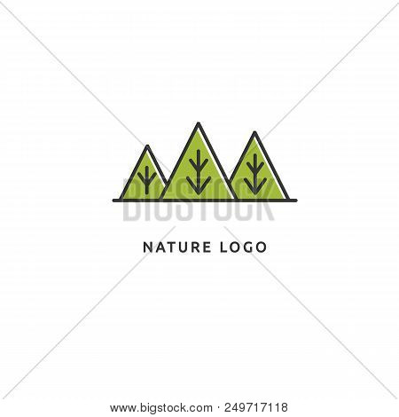 Vector Illustration, Graphic Design Editable Design. Tree, Fir-tree, Wood Oakweb Icon