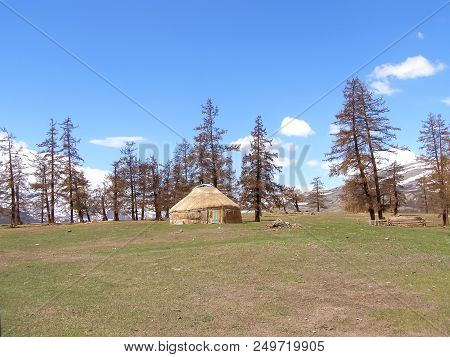 Traditional Dwelling Of Mongolian Nomadic Yurt In May