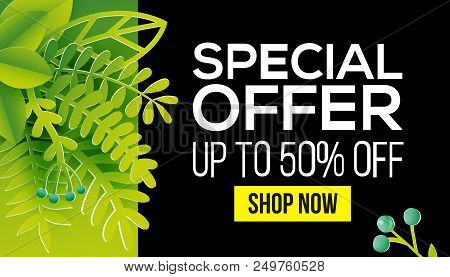 Summer Sale Special Offer Vector Banner Design With Leaves, Plants. Negative Space Trend. Summer Pla